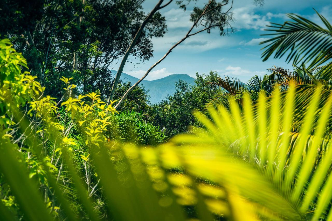 Bed and Breakfast Bella Vista Bellingen Zewnętrze zdjęcie
